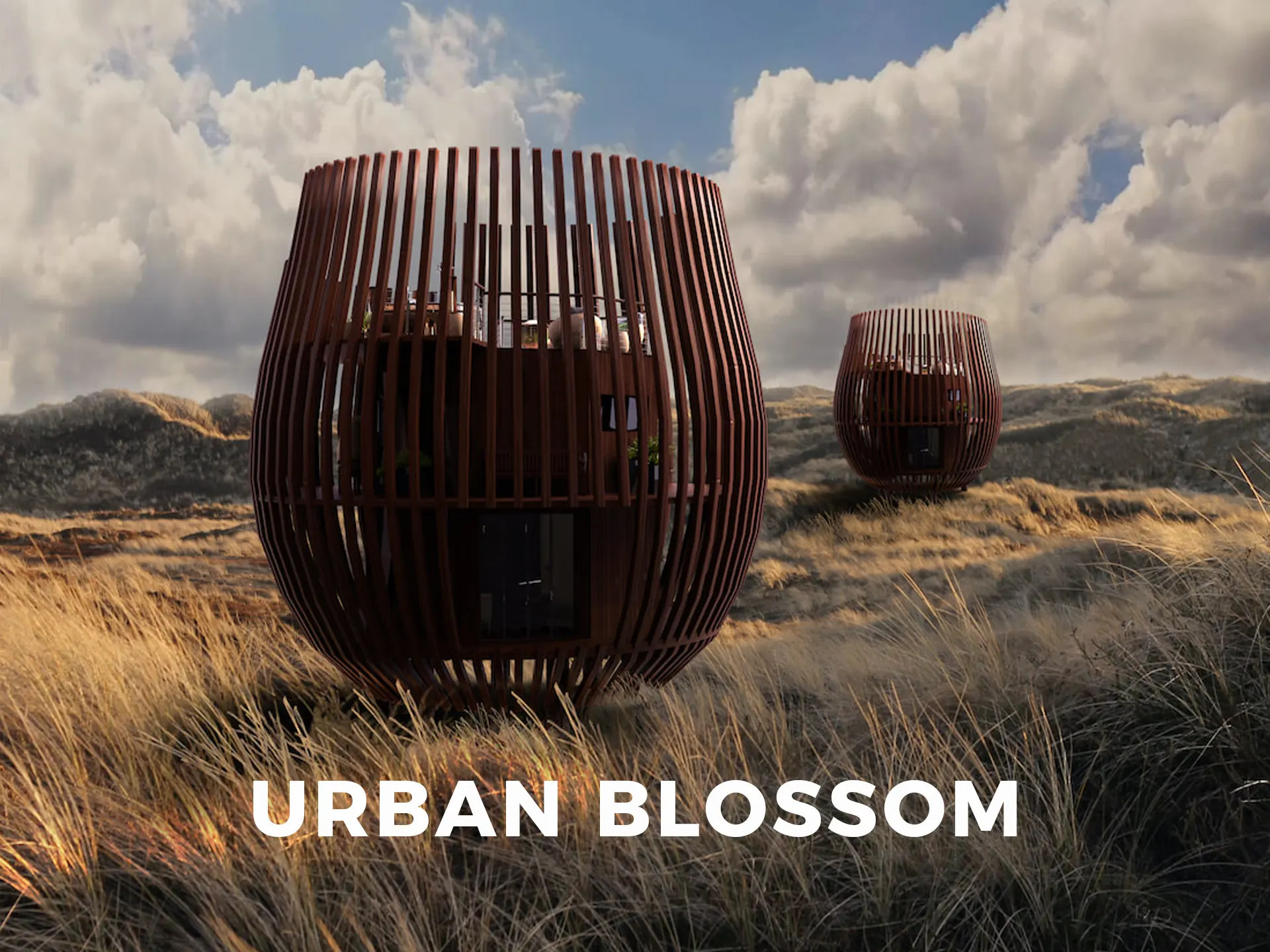 Urban Blossom