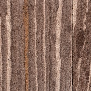 0038_xstone_sandstone 0038_xstone_sandstone